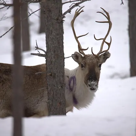 Chalé Hillavilla In The Shore Of *