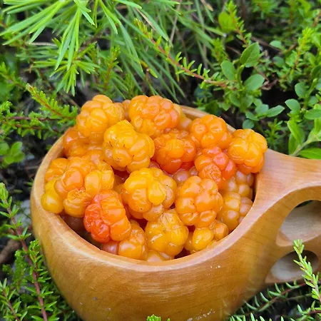 Hillavilla In The Shore Of Chalé